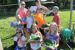 Vegetable Garden